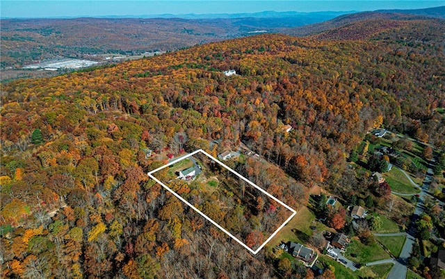 birds eye view of property featuring a mountain view and a view of trees