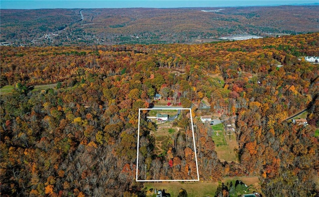 aerial view featuring a forest view