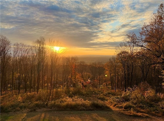 view of landscape