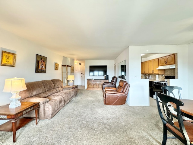 86-15 Broadway Unit 4D, Elmhurst, NY 11373 - living area featuring light carpet