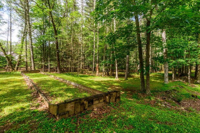 328 John Joy Rd, Woodstock, NY 12498 - photo 28