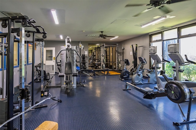 workout area with plenty of natural light, visible vents, and a ceiling fan