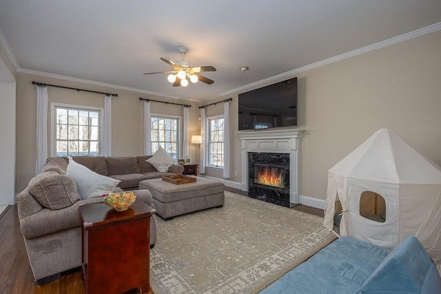 living area featuring a fireplace, ceiling fan, crown molding, and wood finished floors