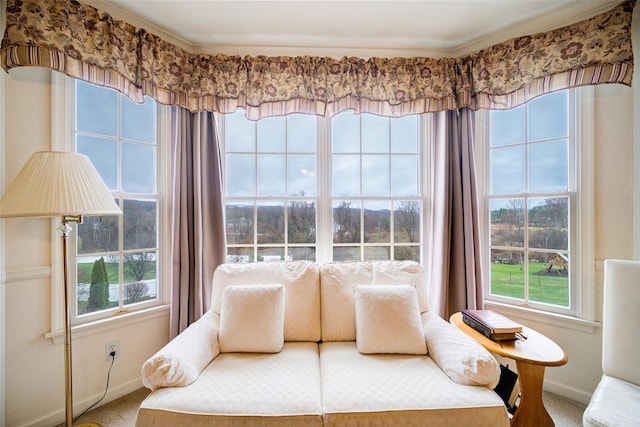 sitting room featuring baseboards and carpet floors