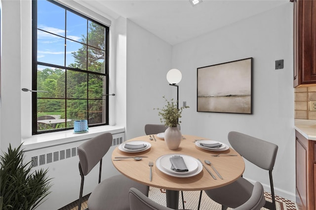 341 Furnace Dock Rd Unit 5, Cortlandt Manor, NY 10567 - dining area featuring radiator and baseboards