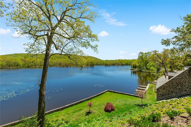 341 Furnace Dock Rd Unit 5, Cortlandt Manor, NY 10567 - water view with a forest