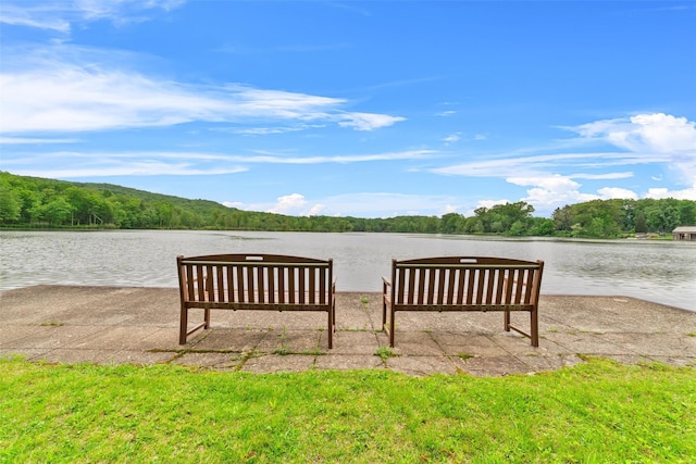 341 Furnace Dock Rd Unit 5, Cortlandt Manor, NY 10567 - surrounding community featuring a water view and a forest view
