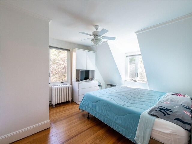 4 Terrace Ct, Port Washington, NY 11050 - bedroom featuring radiator, multiple windows, light wood-style flooring, and baseboards
