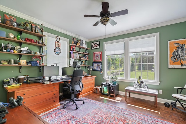 office with wood finished floors, ornamental molding, ceiling fan, and baseboards