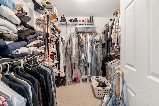 8 Alder Way, Armonk, NY 10504 - walk in closet featuring carpet floors