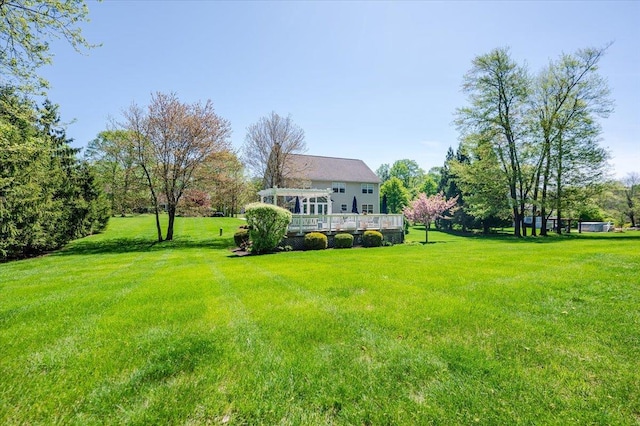 view of yard