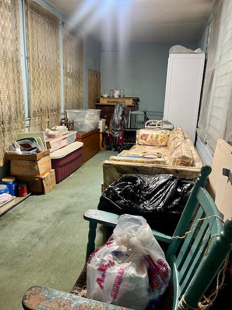 misc room with carpet floors