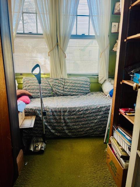 bedroom with carpet flooring and multiple windows