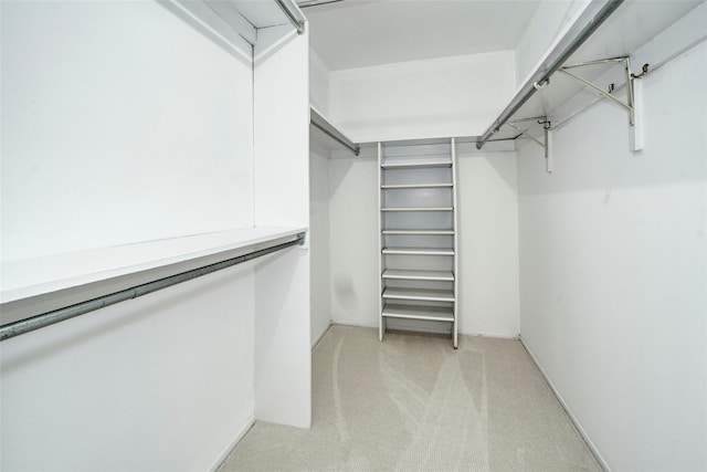 55 Waters Edge Unit 55, Rye, NY 10580 - walk in closet with light colored carpet