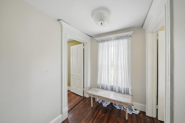 535 Beechwoods Rd, Callicoon, NY 12723 - hallway with baseboards and dark wood-type flooring