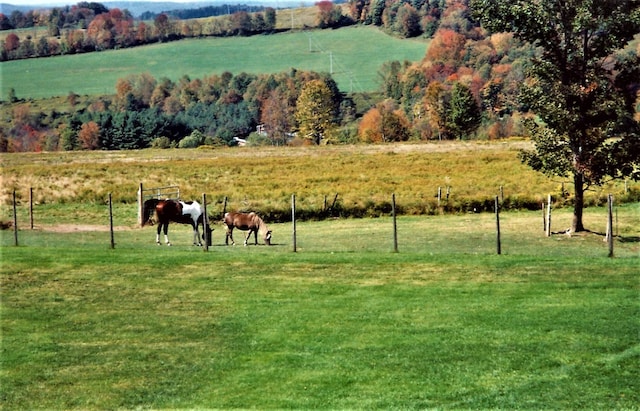 535 Beechwoods Rd, Callicoon, NY 12723 - view of community with a rural view and a yard