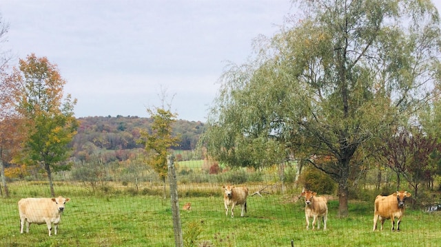 535 Beechwoods Rd, Callicoon, NY 12723 - view of yard with a rural view