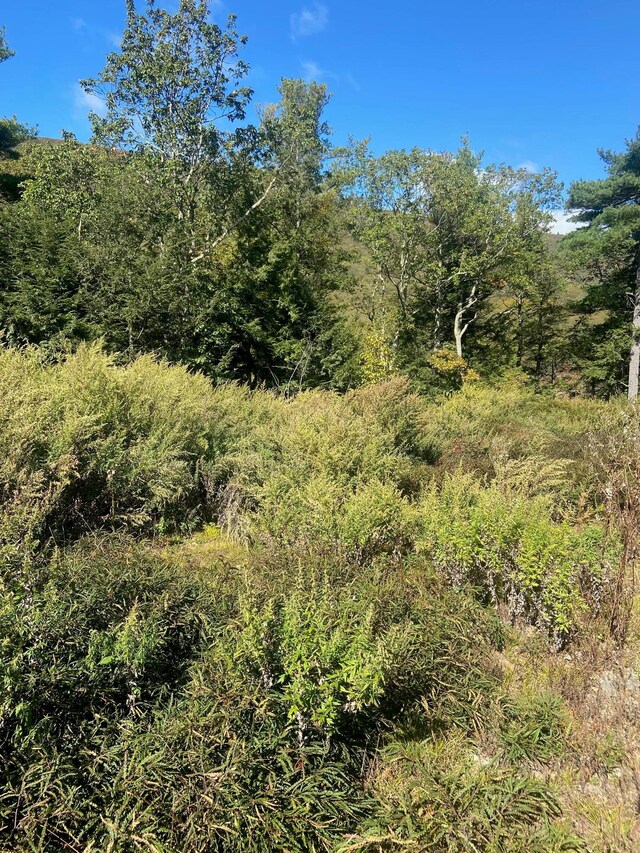 736-738 Manorville, Saugerties, NY 12477
