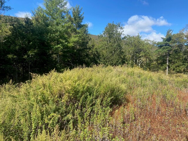 736-738 Manorville, Saugerties, NY 12477