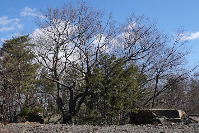 736-738 Manorville, Saugerties, NY 12477