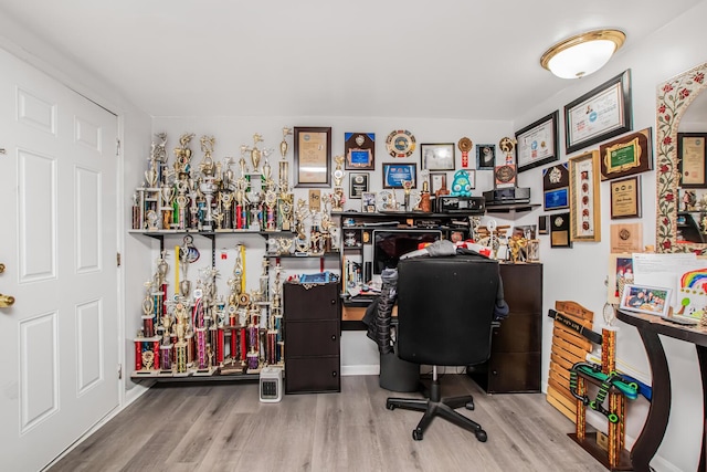 home office featuring wood finished floors
