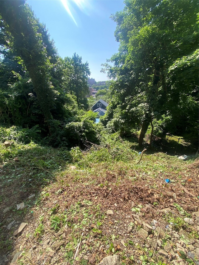 3650 Waldo Ave Unit 2, Bronx, NY 10463 - view of undeveloped land