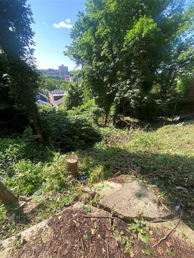 3650 Waldo Ave Unit 2, Bronx, NY 10463 - view of yard