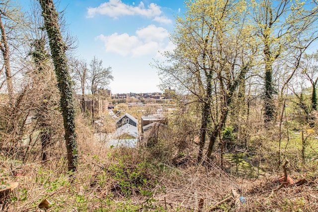 3650 Waldo Ave Unit 2, Bronx, NY 10463 - view of undeveloped land