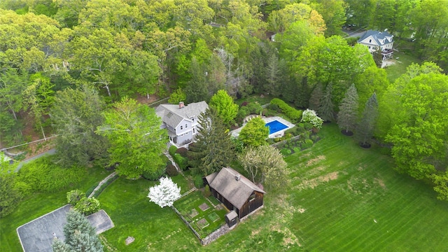 aerial view of a forest