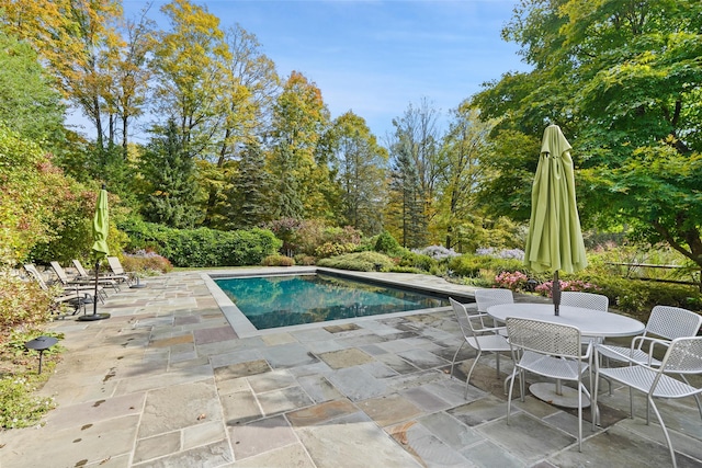 27 Dingle Ridge Rd, North Salem, NY 10560 - swimming pool featuring a patio area
