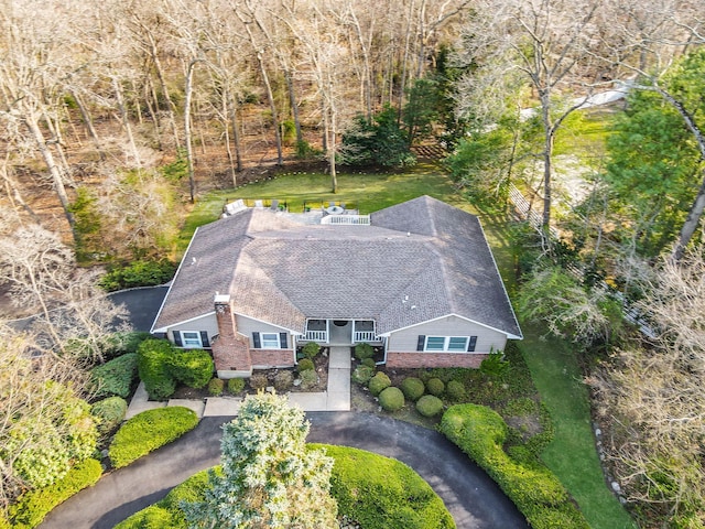 drone / aerial view