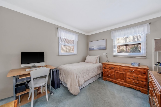 bedroom featuring multiple windows and carpet