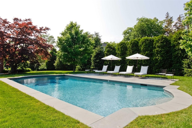 30 Morris Ln, Scarsdale, NY 10583 - pool featuring a patio area and a yard