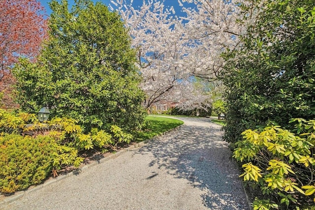 30 Morris Ln, Scarsdale, NY 10583 - view of surrounding community