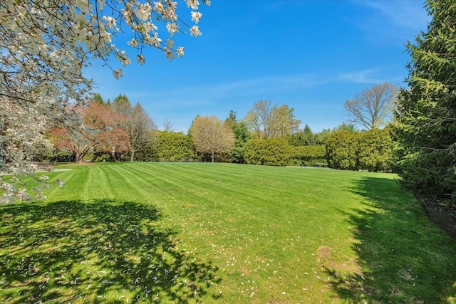 30 Morris Ln, Scarsdale, NY 10583 - view of yard