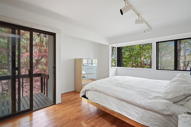 bedroom featuring rail lighting, wood finished floors, and multiple windows