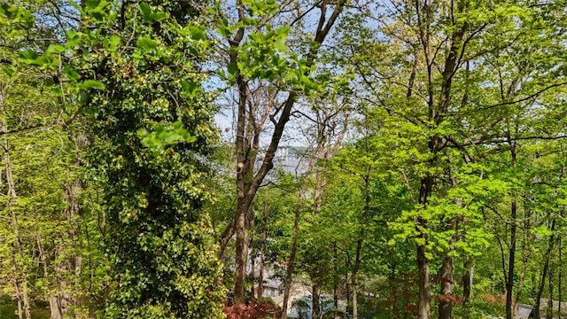 view of landscape