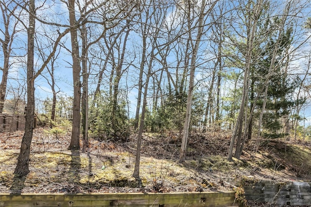 view of local wilderness