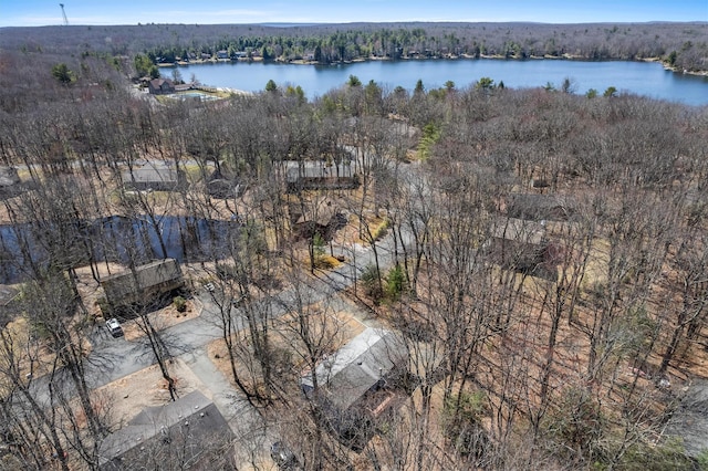 44 Nottingham Gate Rd, Rock Hill, NY 12775 - bird's eye view featuring a water view and a wooded view