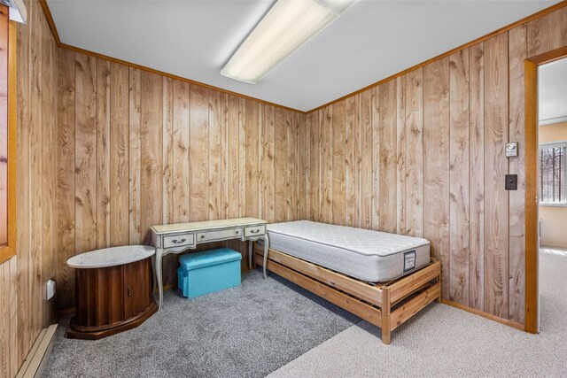 44 Nottingham Gate Rd, Rock Hill, NY 12775 - bedroom with wood walls, a sauna, and carpet floors