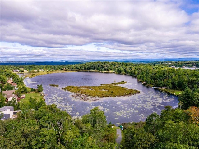 44 Nottingham Gate Rd, Rock Hill, NY 12775 - birds eye view of property featuring a forest view and a water view