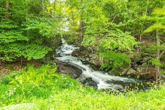 44 Nottingham Gate Rd, Rock Hill, NY 12775 - view of landscape