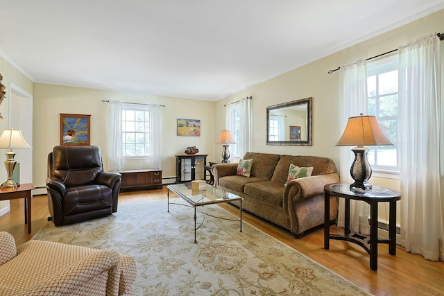 12 Heath Rd, Valhalla, NY 10595 - living room with light wood-type flooring, ornamental molding, and a baseboard heating unit