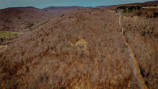 view of mountain feature