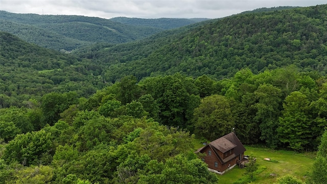 607 Baker Hill Rd, Roscoe, NY 12776 - view of mountain background with a forest