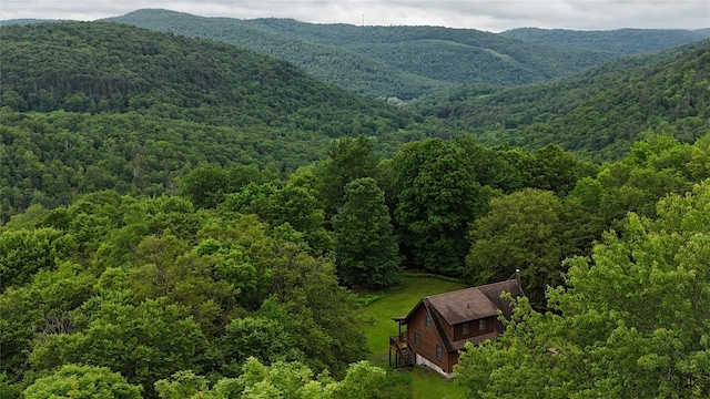 607 Baker Hill Rd, Roscoe, NY 12776 - mountain view featuring a forest