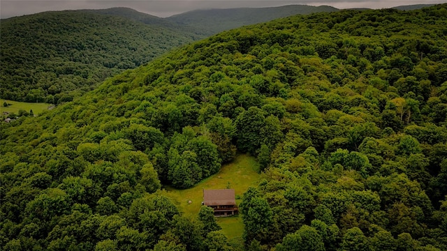 607 Baker Hill Rd, Roscoe, NY 12776 - view from above of property with a forest and mountains
