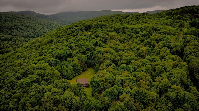 607 Baker Hill Rd, Roscoe, NY 12776 - bird's eye view of a forest and a mountain backdrop