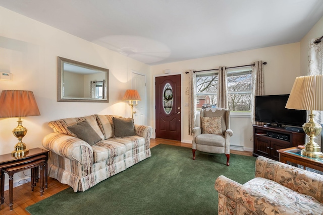 living room featuring a baseboard radiator and wood finished floors
