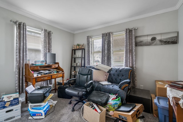 office area featuring crown molding and carpet floors